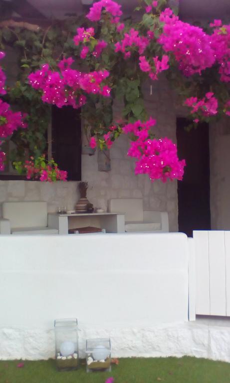 Hidden Heaven Villa Mykonos Town Rom bilde